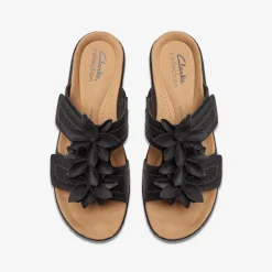 Best Merliah Raelyn Women Sandal Preview|Sandals & Flip Flops