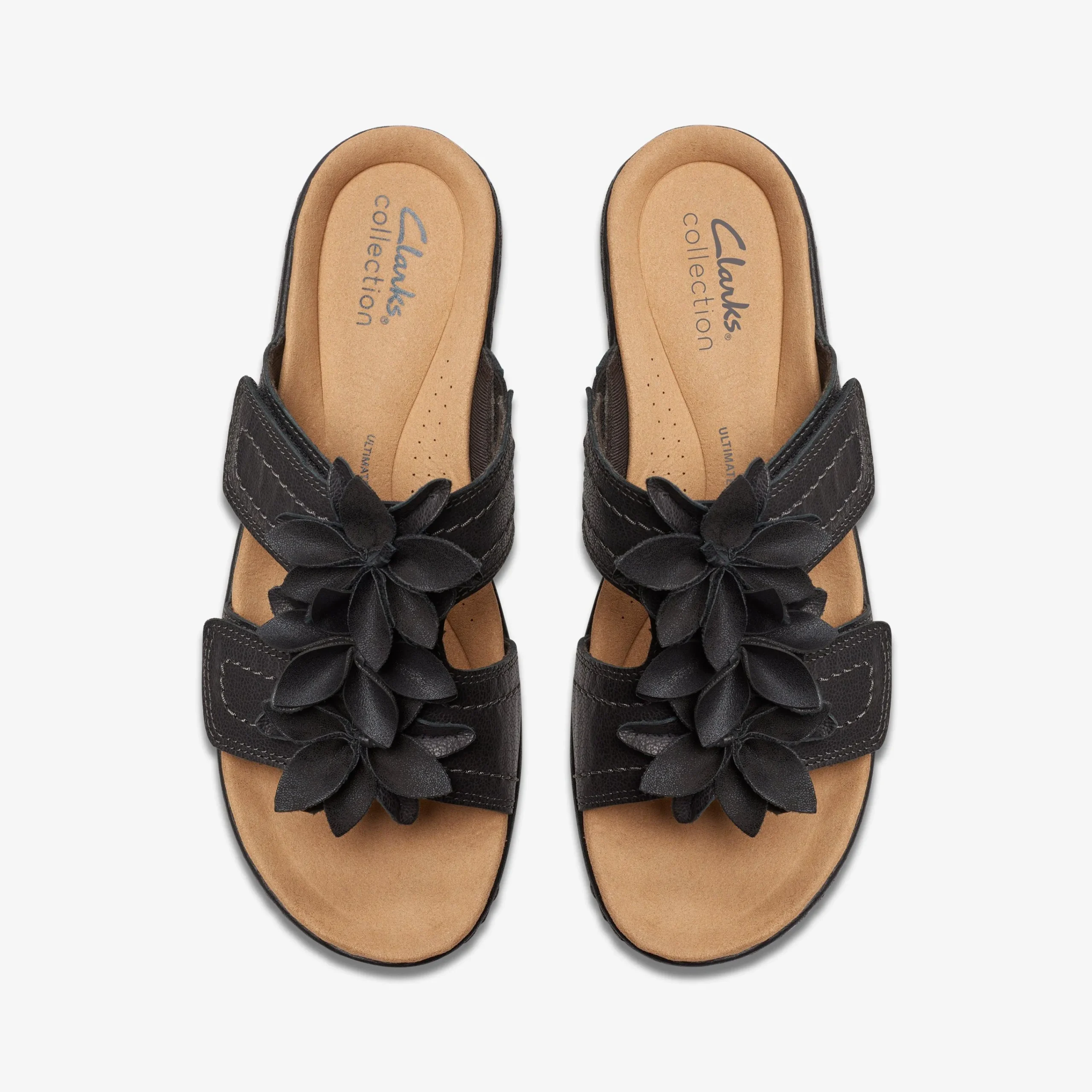 Best Merliah Raelyn Women Sandal Preview|Sandals & Flip Flops